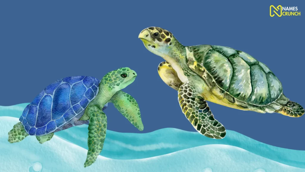 Funny Sea Turtle Names