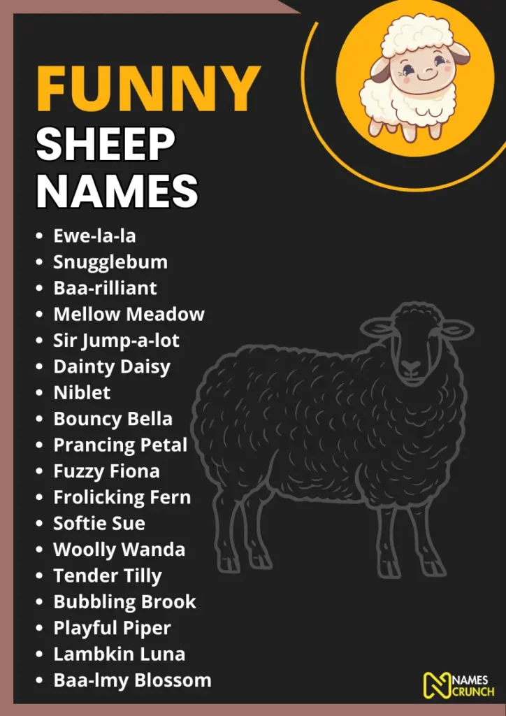 Funny Sheep Names infographic