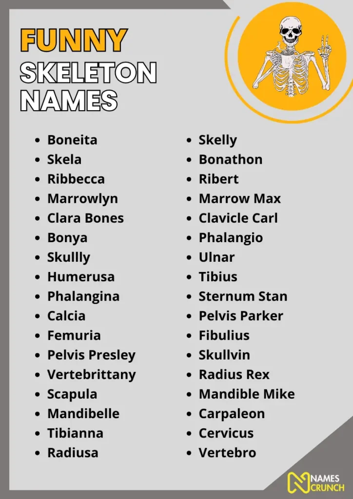 Funny Skeleton Names infographic