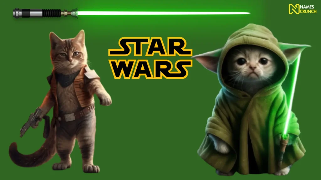 Funny Star Wars Cat Names