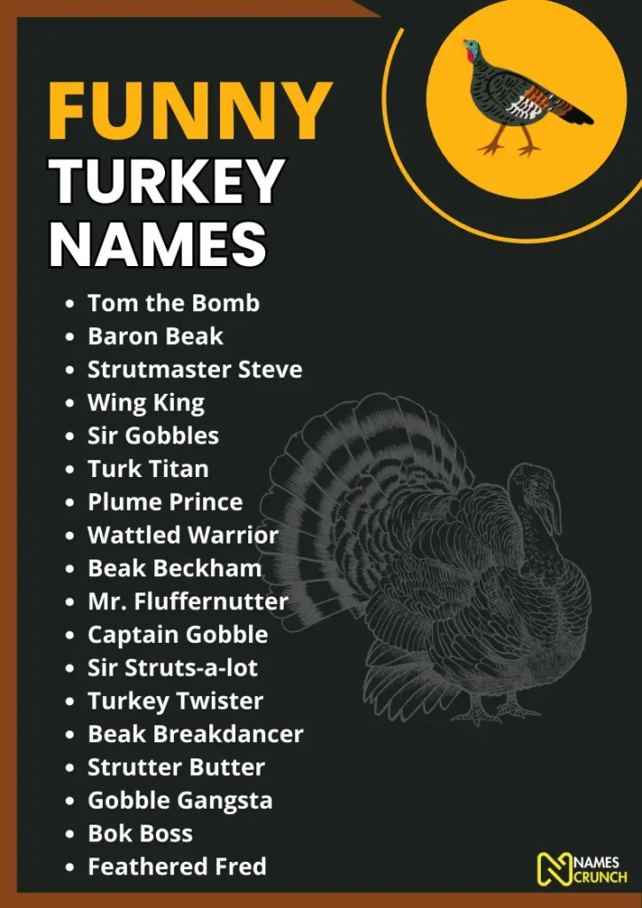 Funny Turkey Names infographic
