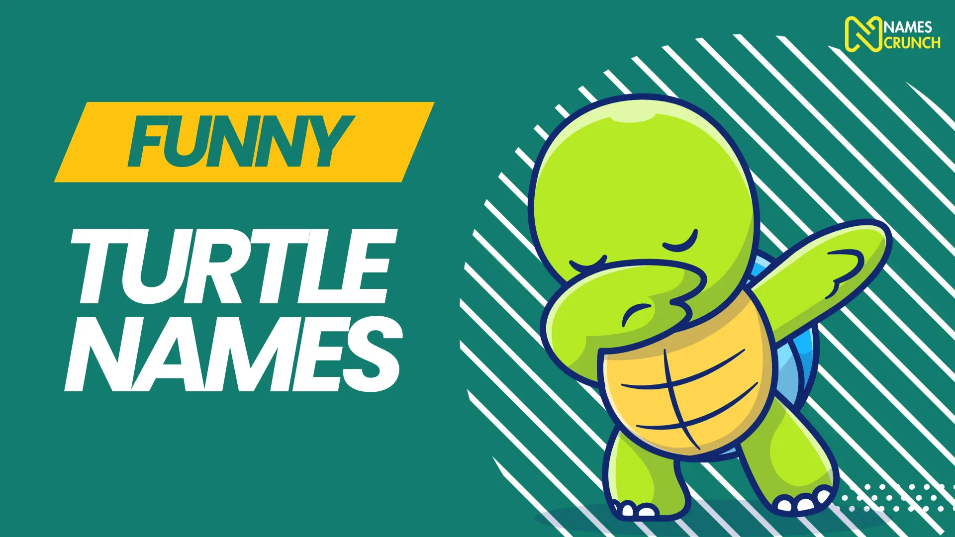 Funny Turtle Names