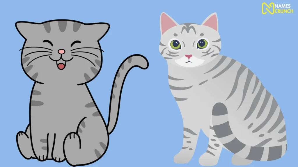 Funny Unisex Gray Cat Names
