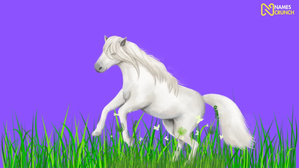 Funny White Horse Names