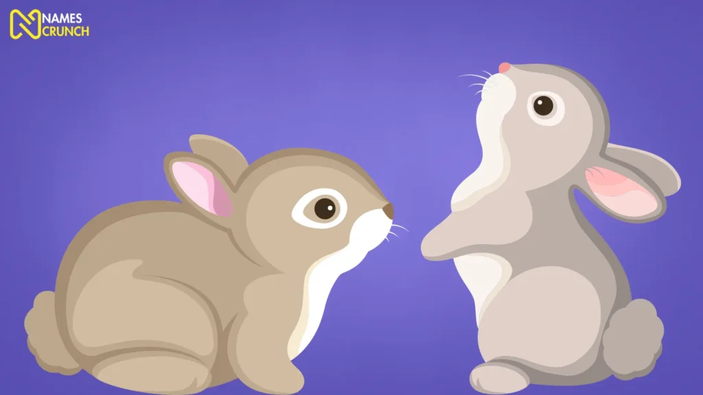 Funny names for male Rabbits