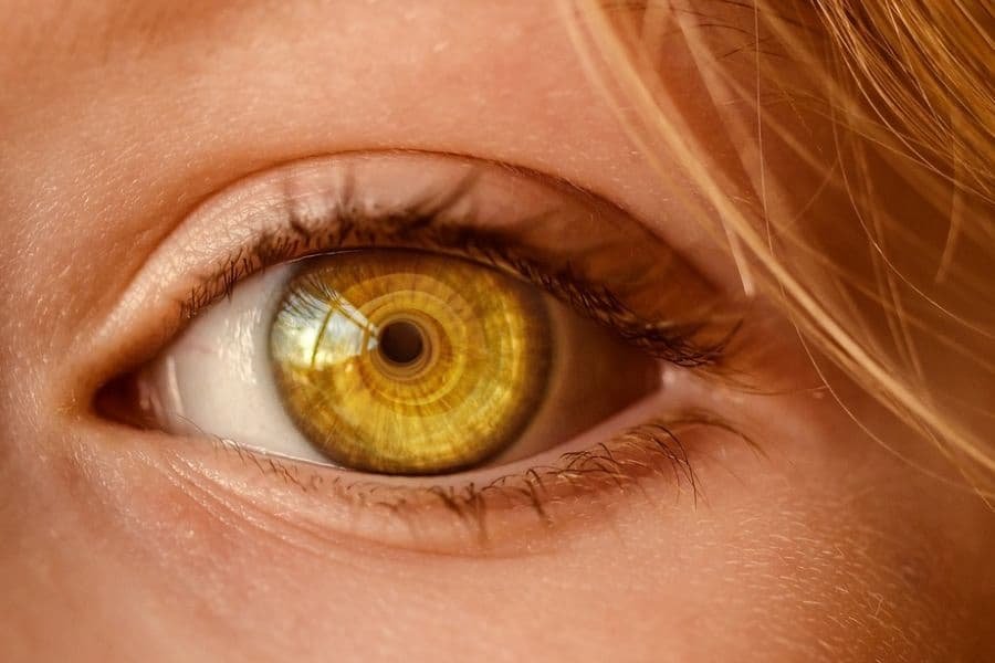What is the golden color of the eyes