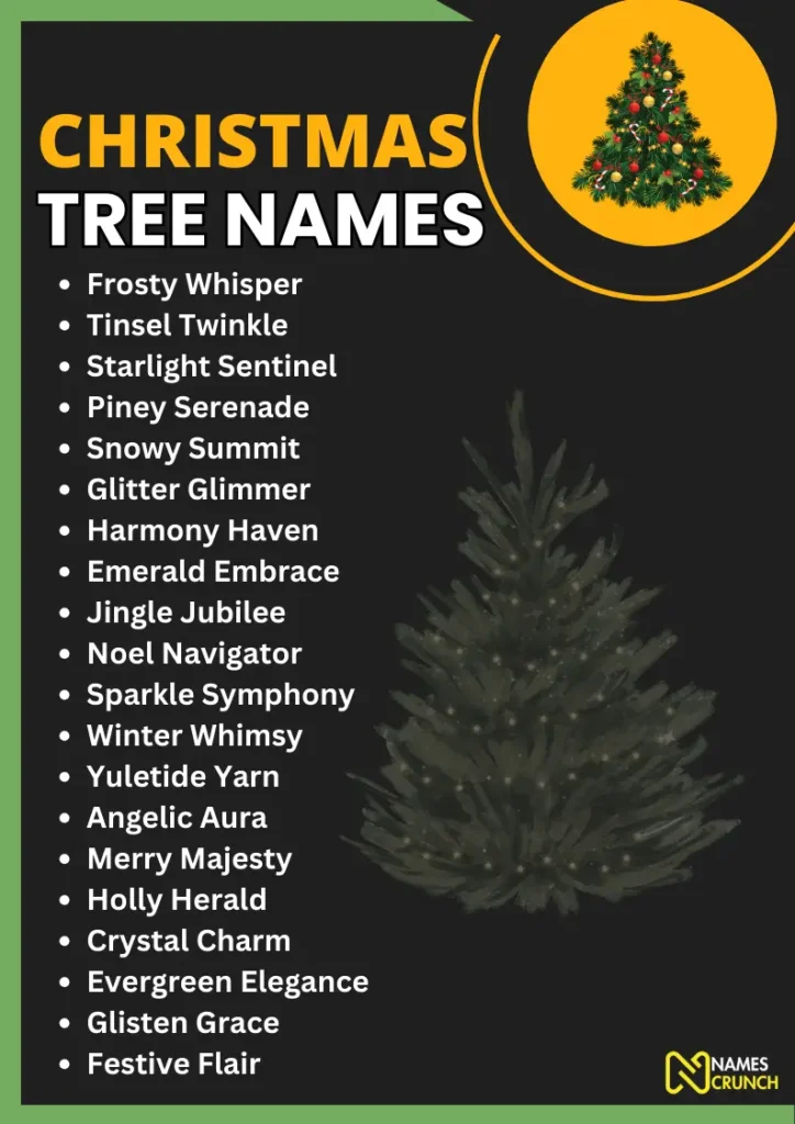 Christmas Tree Names infographic