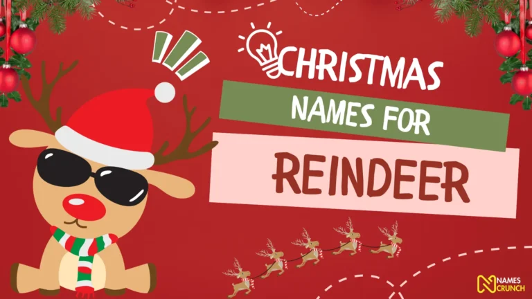 Christmas names for reindeer- names crunch