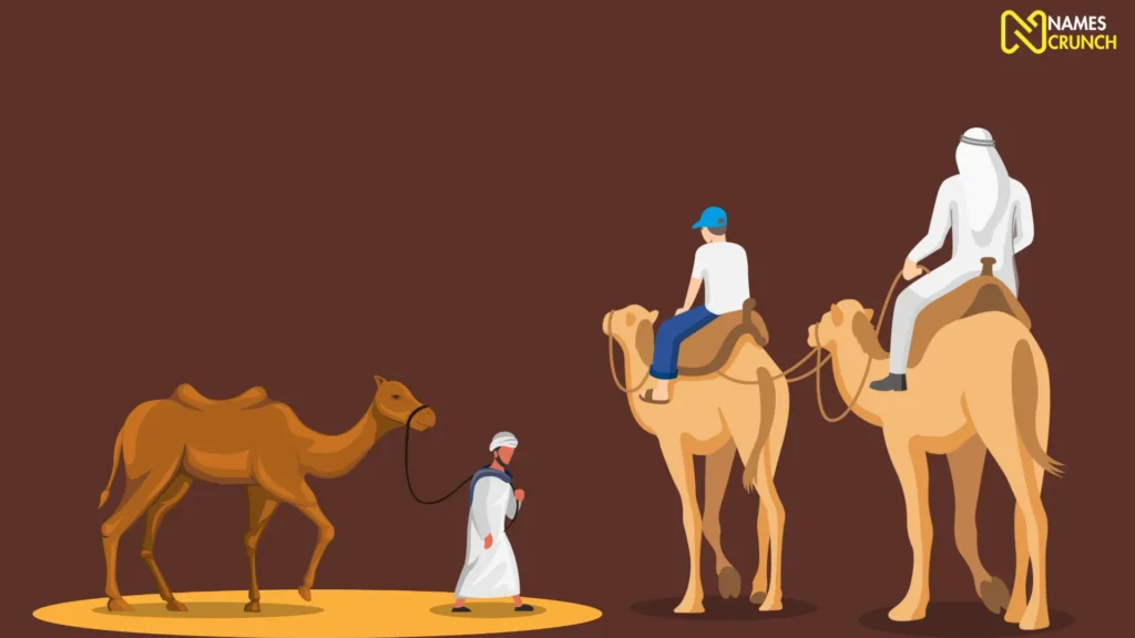 Funny Arabic names for camels