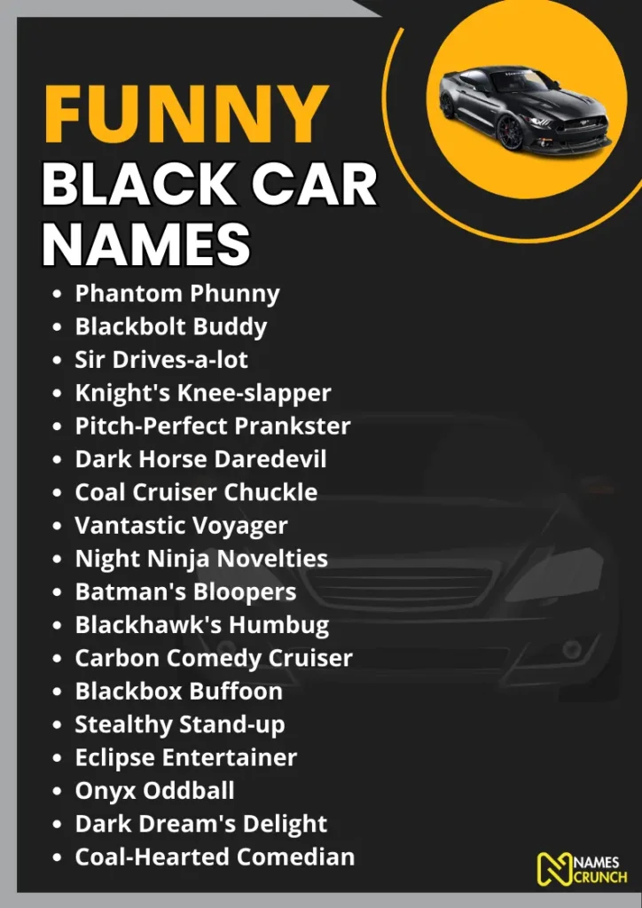 Funny Black Car Names infographic