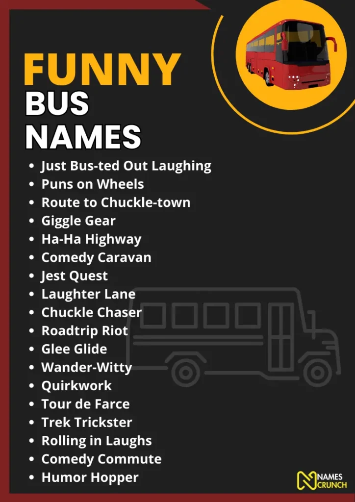 Funny Bus Names infographic