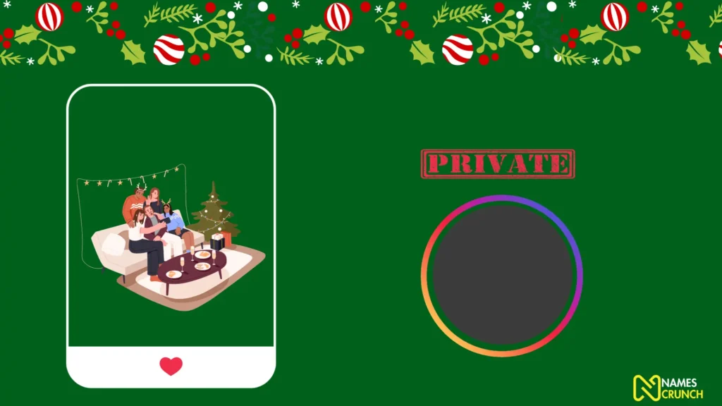 Funny Christmas Private Story Names
