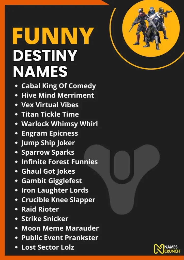 Funny Destiny Names infographic