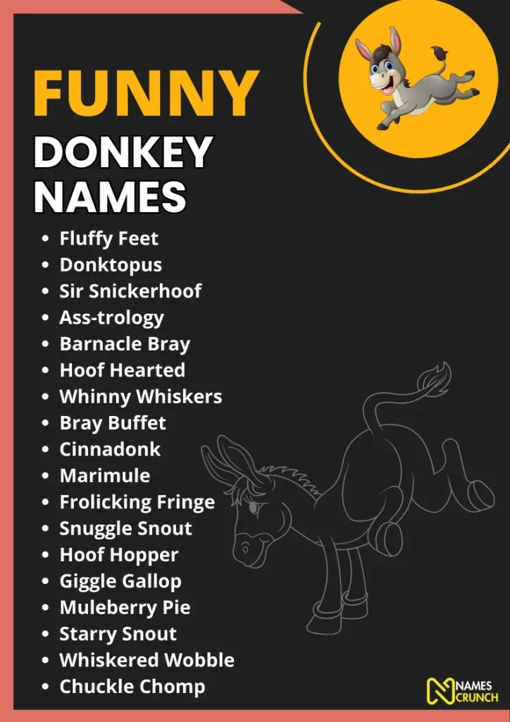 Funny Donkey Names infographic