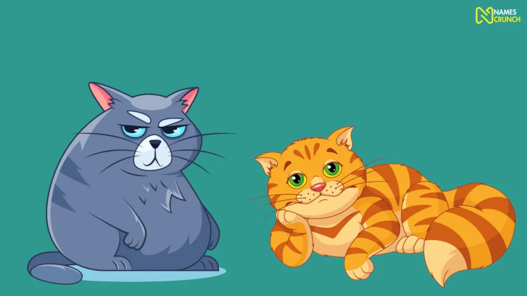 Funny Male Fat Cat Names