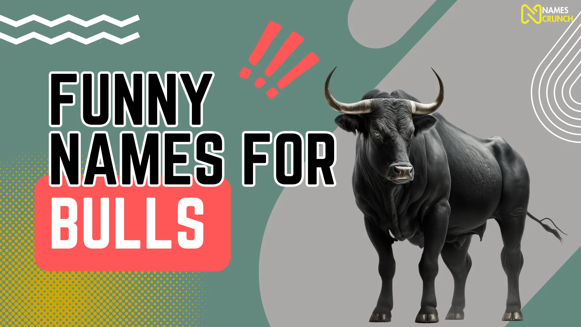 Funny Names for Bulls