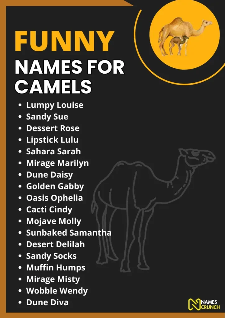 Funny Names for Camels infographic