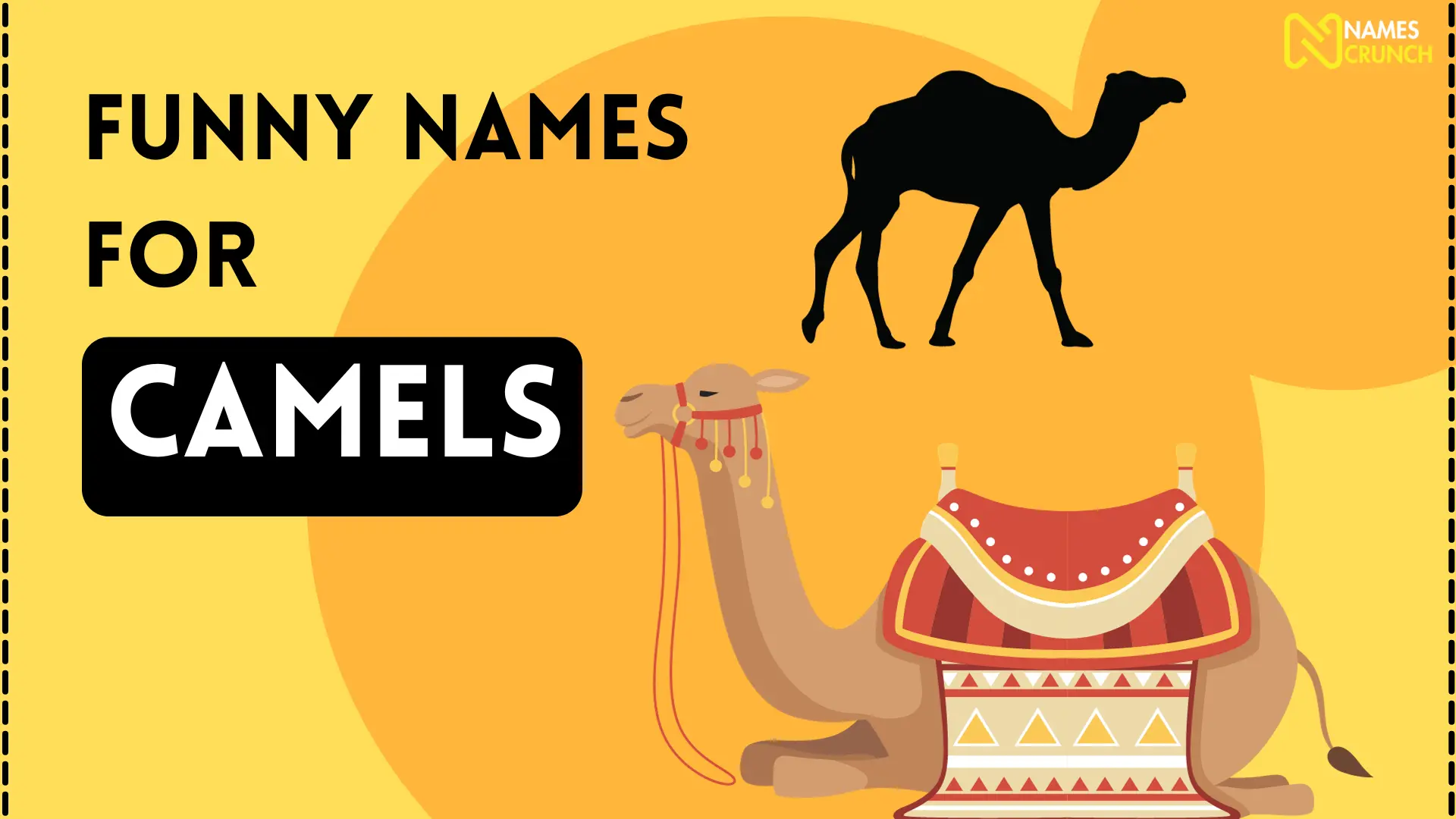 Funny Names for Camels