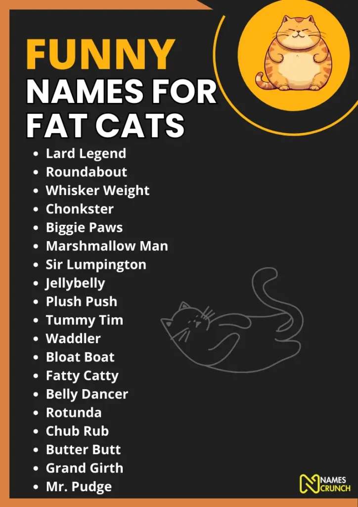 Funny-Names-for-Fat-Cats-infographic