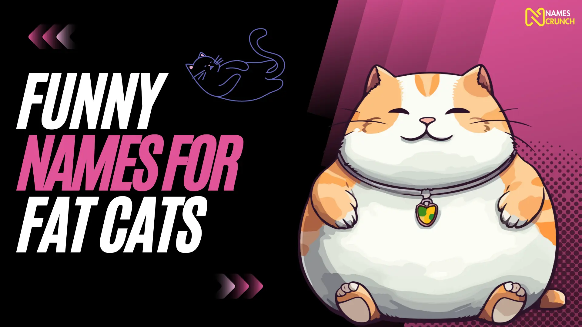 Funny Names for Fat Cats