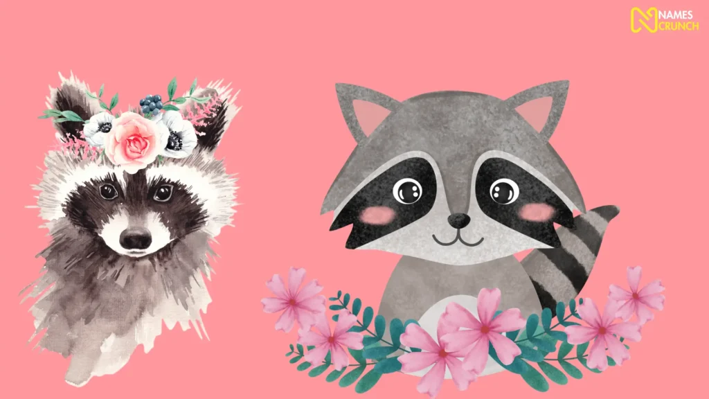 Funny Names for Female Raccoons