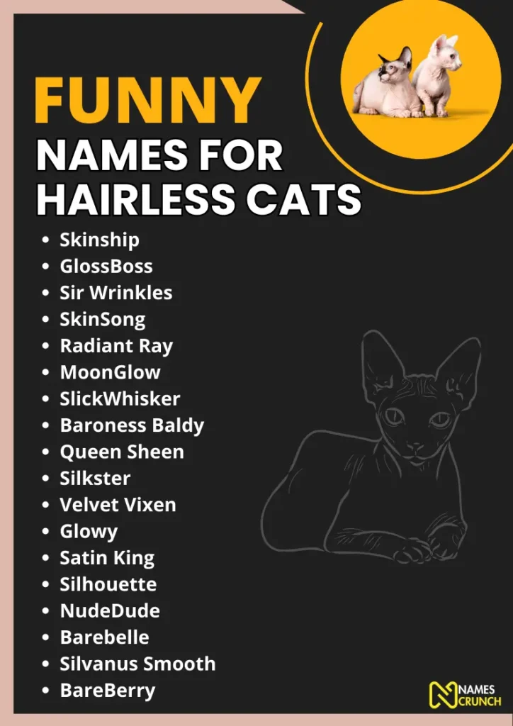 Funny Names for Hairless Cats infographic