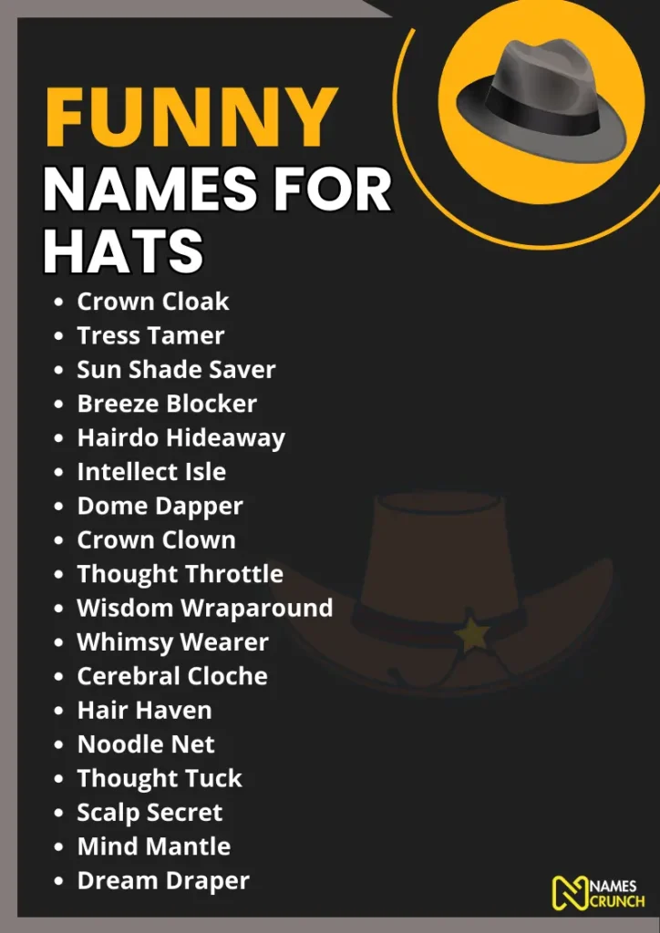 Funny Names for Hats infographic