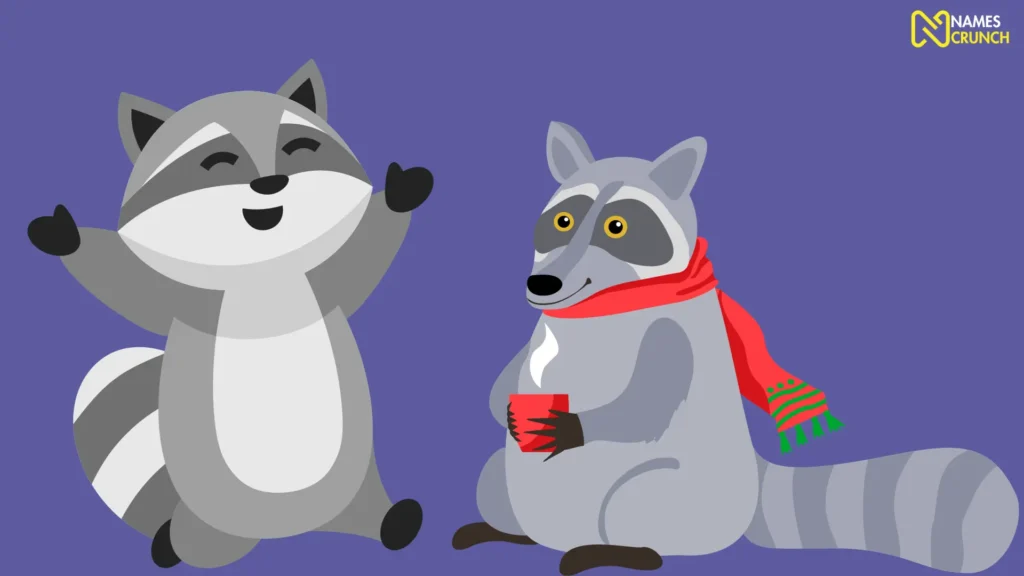 Funny Names for Male Raccoons