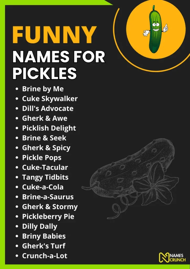 Funny Names for Pickles infographic