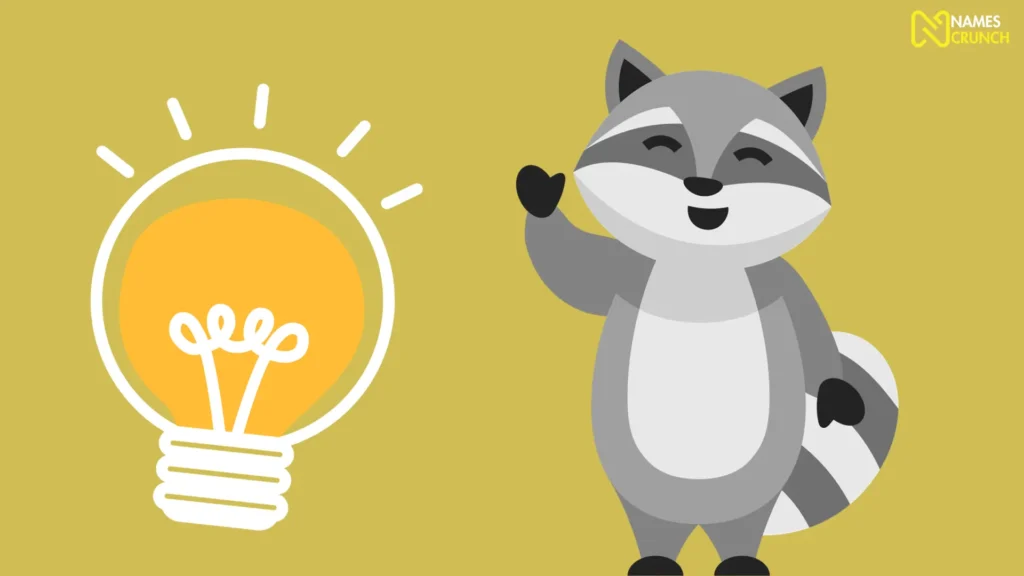 Funny Names for Raccoon Ideas