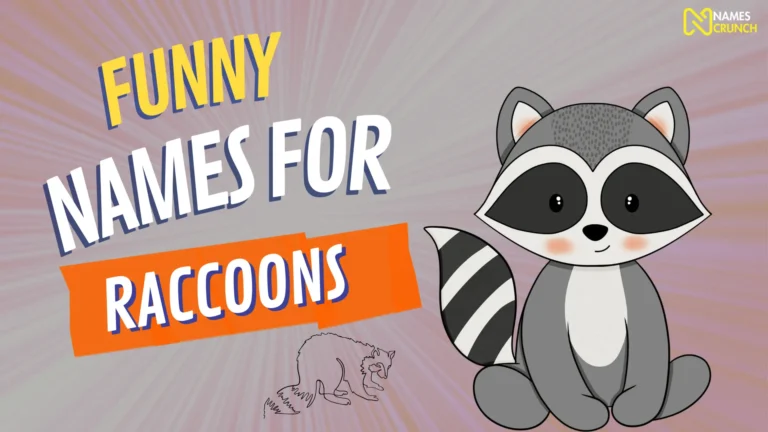 Funny Names for Raccoons