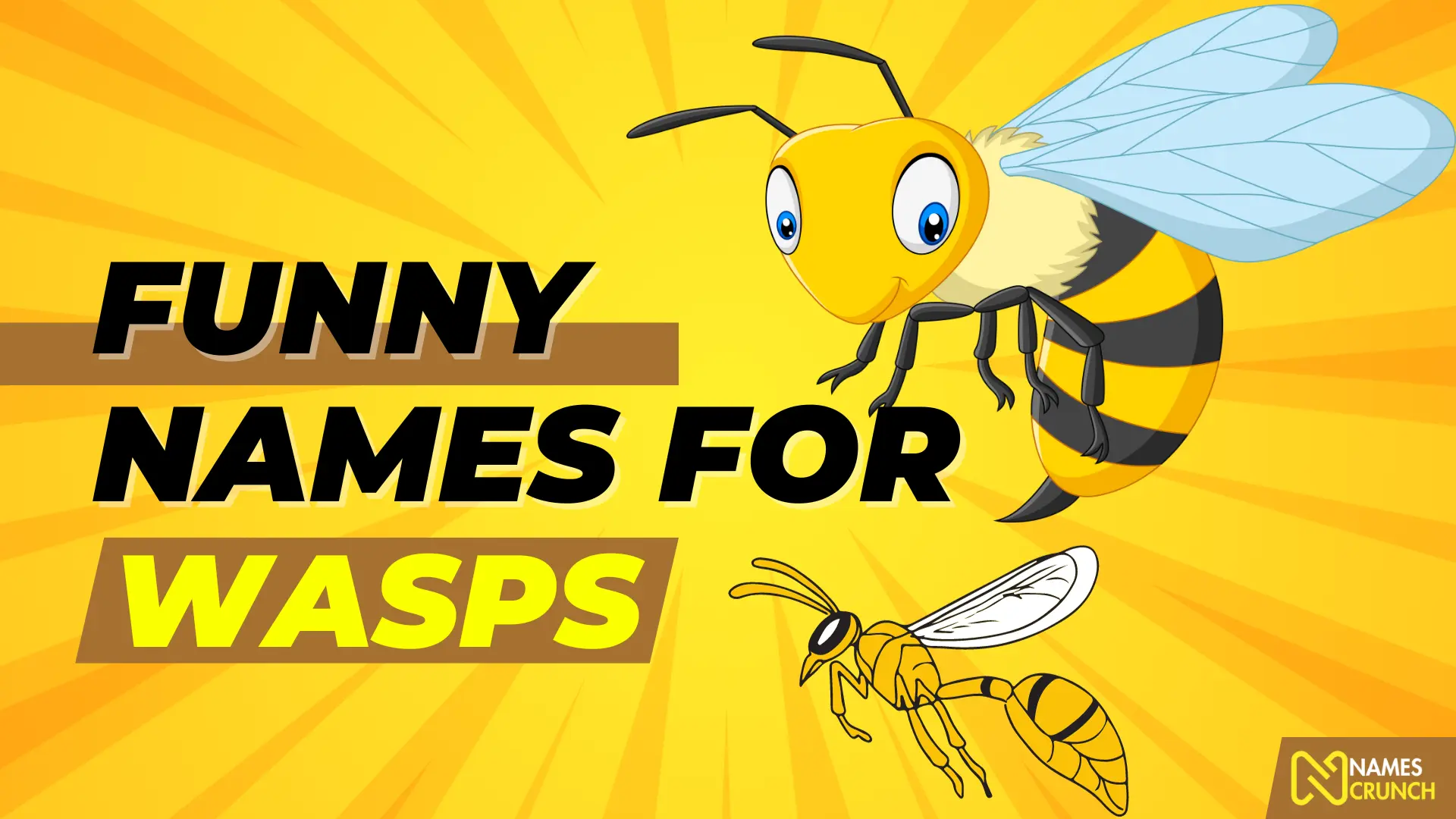 Funny Names for Wasps