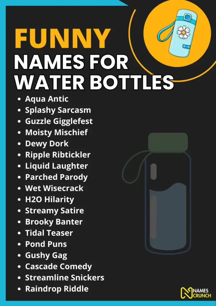 Funny Names for Water Bottles infographic