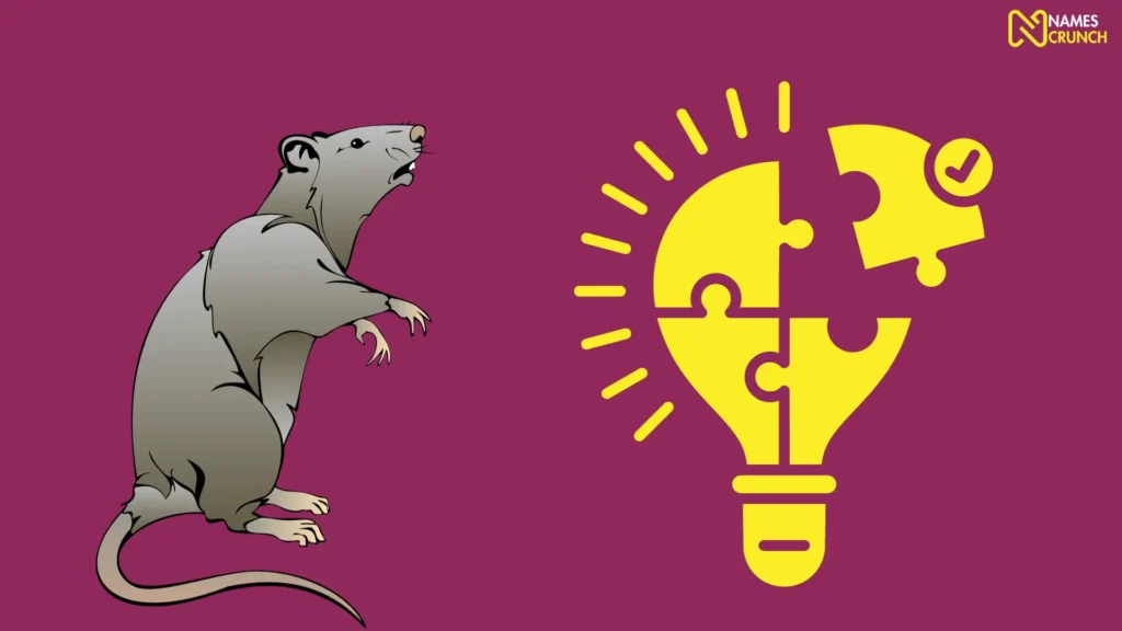 Funny Rat Name Ideas
