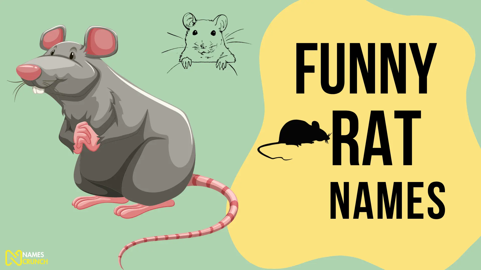 Funny Rat Names
