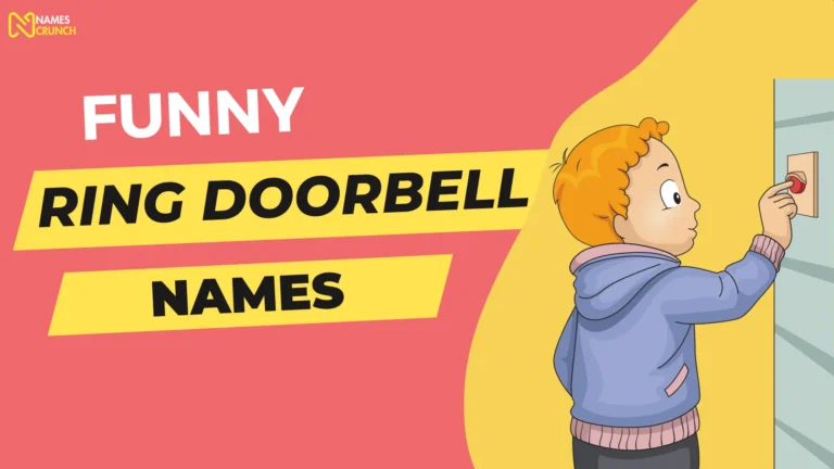Funny Ring Doorbell Names