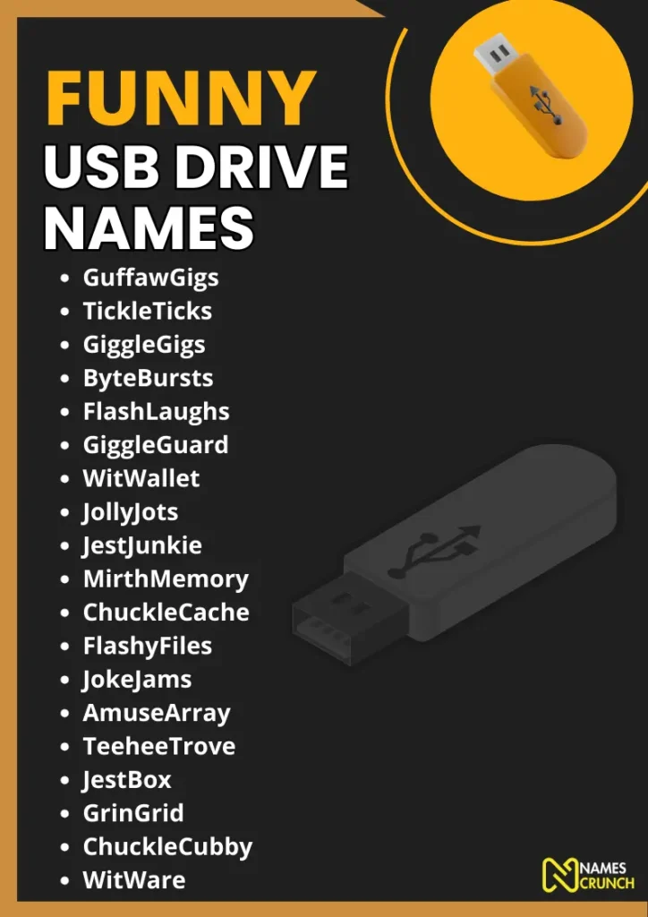 Funny USB Drive Names (With Meanings) infographic