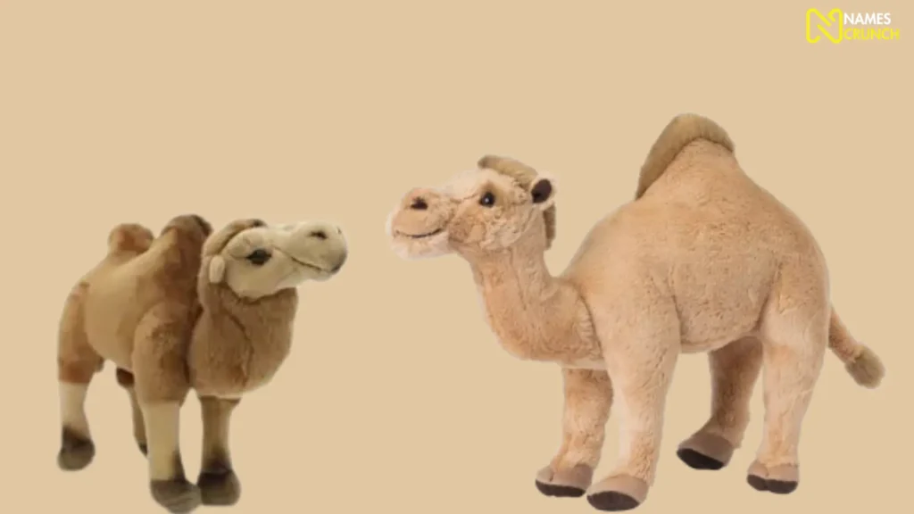 Funny names for stuffed camels