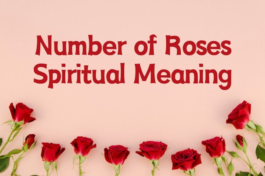 Number of Roses Spiritual Meaning