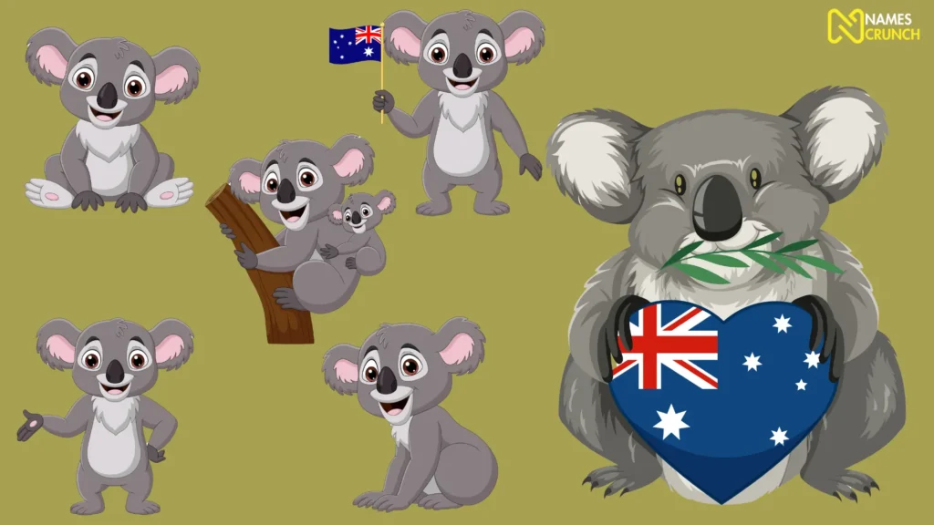 Australian Koala Names