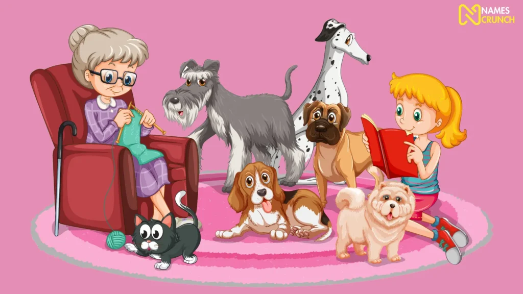 Best Old Lady Names for Dogs