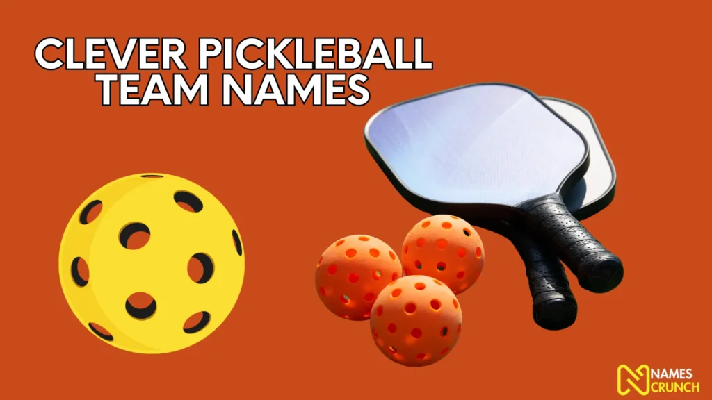 Clever Pickleball Team Names