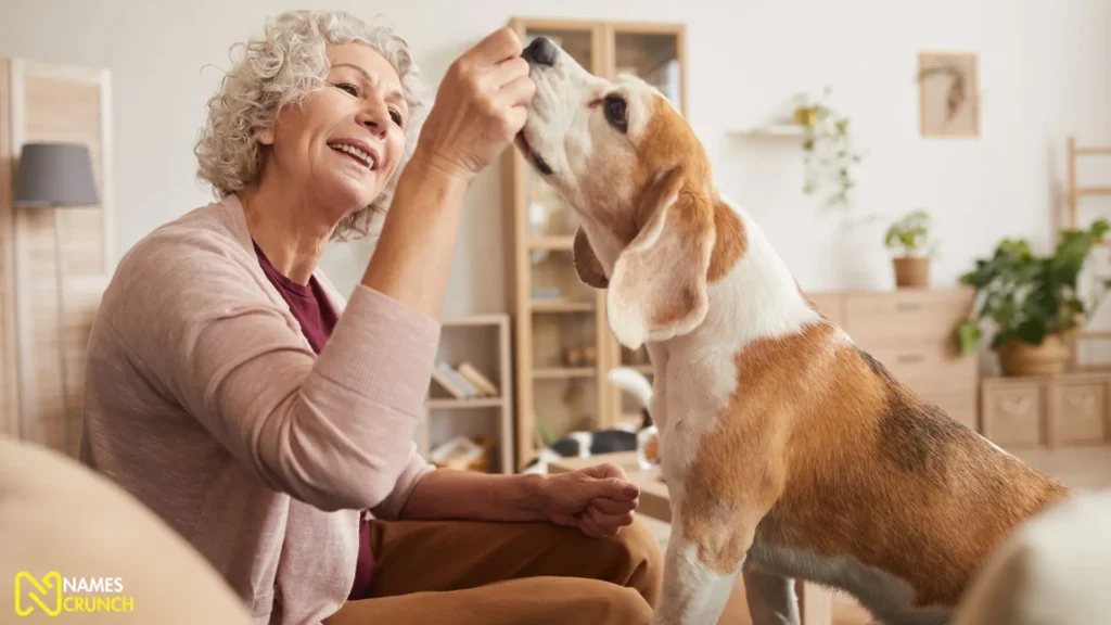 Cool Old Lady Names for Dogs