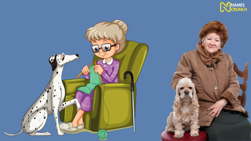 Cute Old Lady Names for Dogs