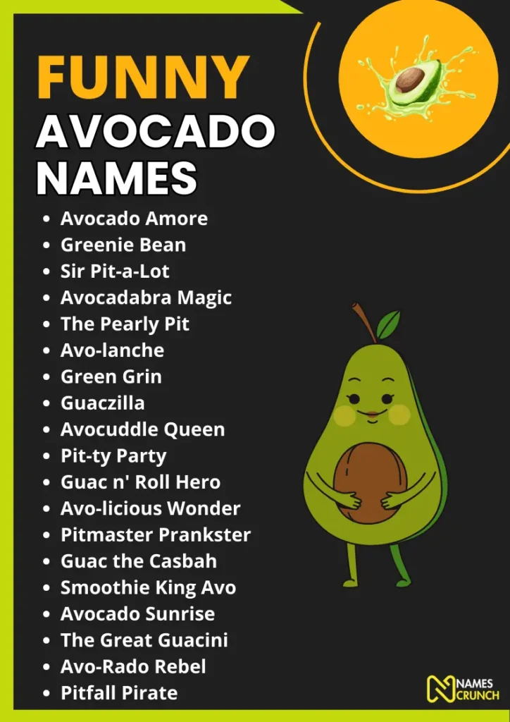 Funny Avocado Names infographic