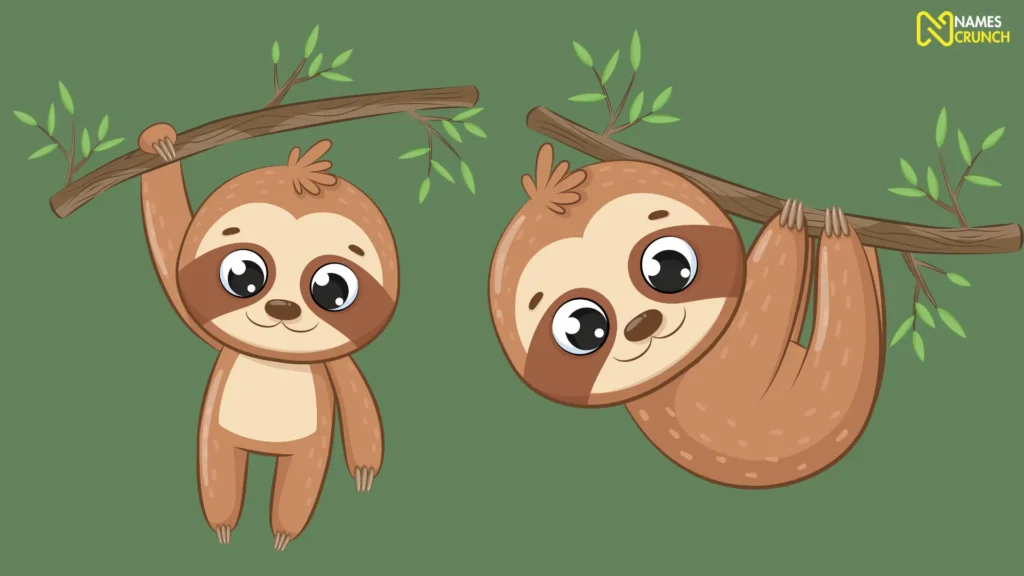 Funny Baby Sloth Names