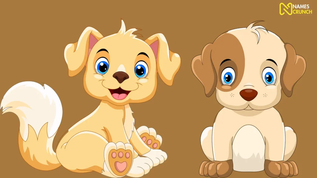 Funny Baby Dog Names