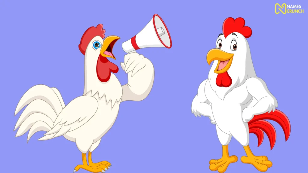 Funny Boy Chicken Names