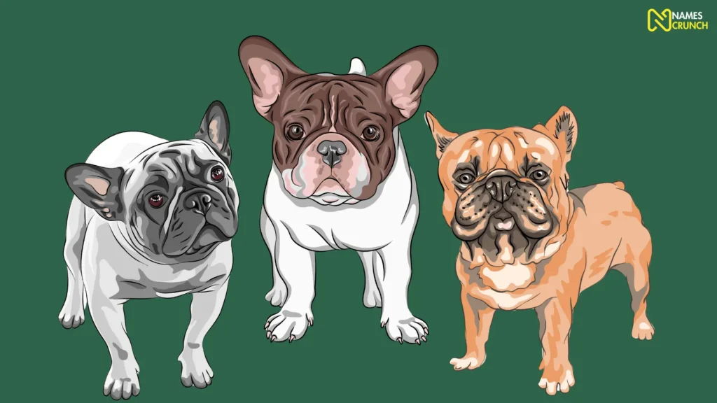 Funny Bulldog Names