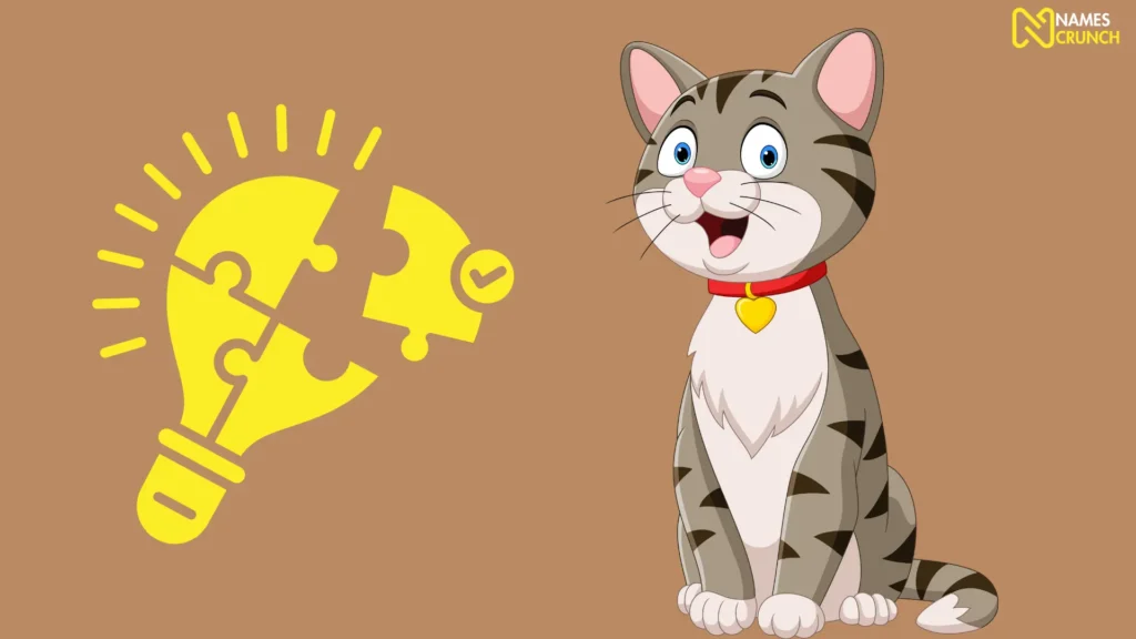 Funny Cat Names Ideas List